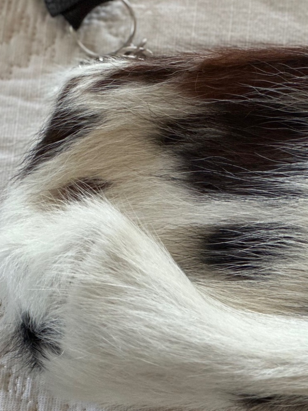 Small Cowhide Clutch or Makeup Bag! One of a Kind. Lynn Tallerico Handbags!!! - Picture 3 of 4